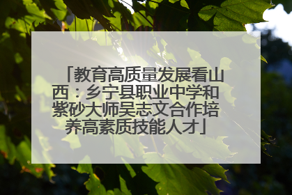 教育高质量发展看山西：乡宁县职业中学和紫砂大师吴志文合作培养高素质技能人才