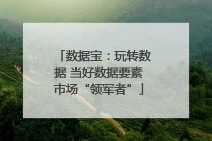 数据宝：玩转数据 当好数据要素市场“领军者”