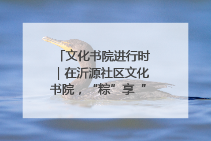 文化书院进行时｜在沂源社区文化书院，“粽”享“端午”美好时光