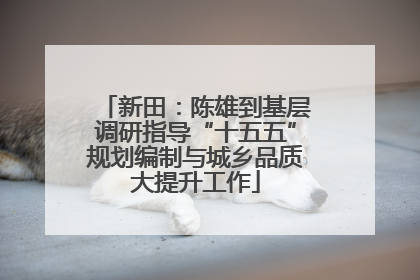 新田：陈雄到基层调研指导“十五五”规划编制与城乡品质大提升工作