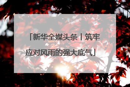 新华全媒头条丨筑牢应对风雨的强大底气