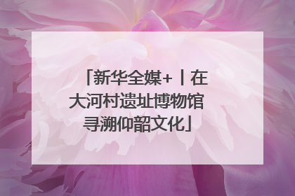 新华全媒+丨在大河村遗址博物馆寻溯仰韶文化
