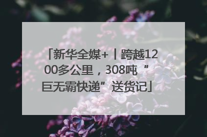 新华全媒+丨跨越1200多公里，308吨“巨无霸快递”送货记