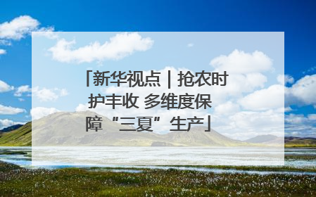 新华视点｜抢农时 护丰收 多维度保障“三夏”生产