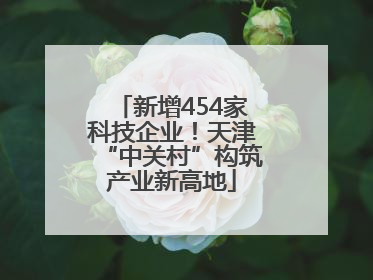 新增454家科技企业！天津“中关村”构筑产业新高地