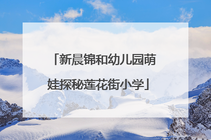 新晨锦和幼儿园萌娃探秘莲花街小学