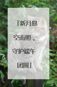 新月悬空而照，守护端午团圆