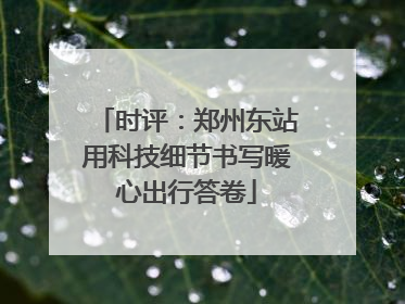 时评：郑州东站用科技细节书写暖心出行答卷
