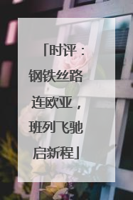 时评：钢铁丝路连欧亚，班列飞驰启新程