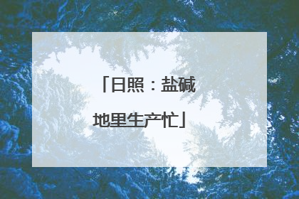 日照：盐碱地里生产忙
