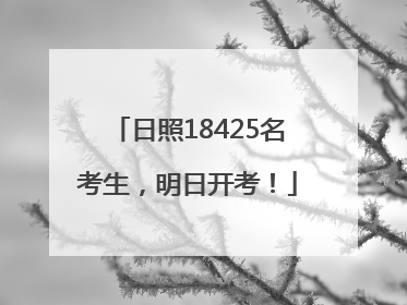 日照18425名考生，明日开考！