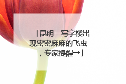昆明一写字楼出现密密麻麻的飞虫，专家提醒→