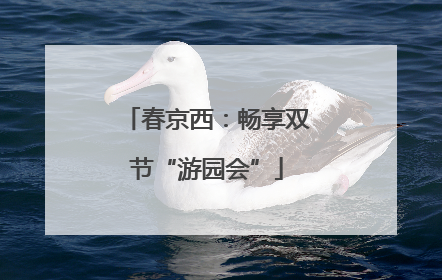 春京西：畅享双节“游园会”