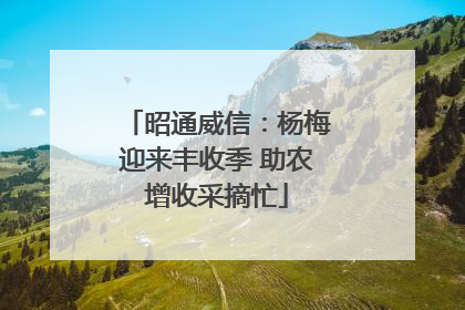昭通威信：杨梅迎来丰收季 助农增收采摘忙