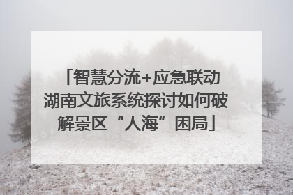 智慧分流+应急联动 湖南文旅系统探讨如何破解景区“人海”困局