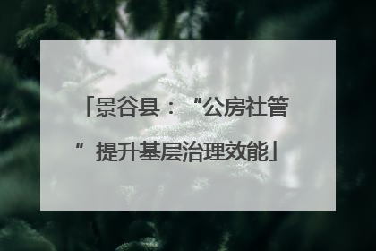 景谷县：“公房社管”提升基层治理效能