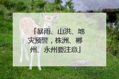 暴雨、山洪、地灾预警，株洲、郴州、永州要注意