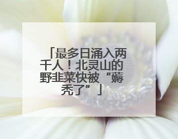最多日涌入两千人！北灵山的野韭菜快被“薅秃了”