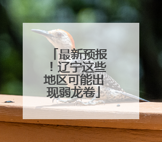 最新预报！辽宁这些地区可能出现弱龙卷
