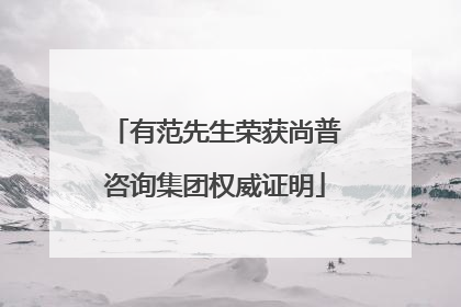有范先生荣获尚普咨询集团权威证明