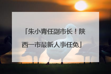 朱小青任副市长！陕西一市最新人事任免