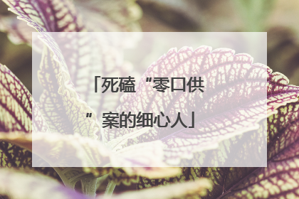 死磕“零口供”案的细心人