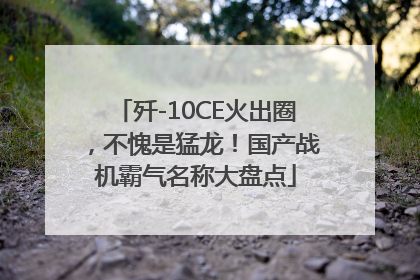 歼-10CE火出圈，不愧是猛龙！国产战机霸气名称大盘点