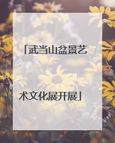 武当山盆景艺术文化展开展