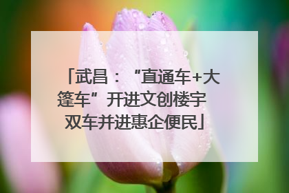 武昌：“直通车+大篷车”开进文创楼宇 双车并进惠企便民