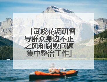 武晓花调研督导群众身边不正之风和腐败问题集中整治工作