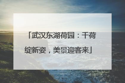 武汉东湖荷园：千荷绽新姿，美景迎客来
