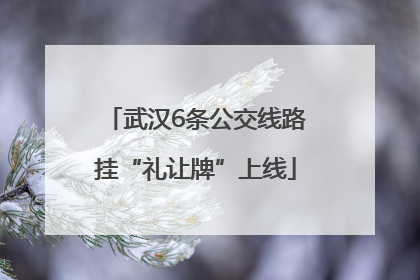 武汉6条公交线路挂“礼让牌”上线