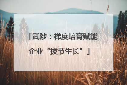 武陟：梯度培育赋能企业“拔节生长”