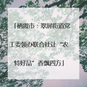 栖霞市：翠屏街道党工委领办联合社让“农特好品”香飘四方