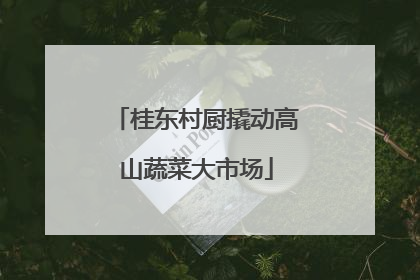 桂东村厨撬动高山蔬菜大市场