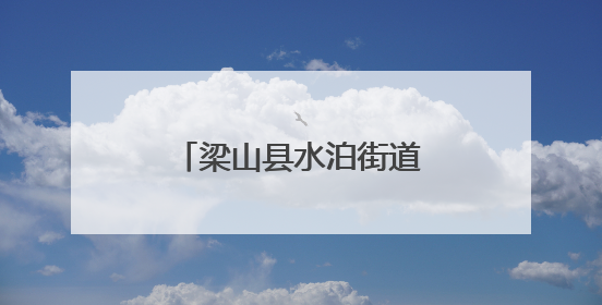 梁山县水泊街道为民服务中心开展惠民政策宣传