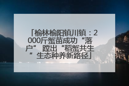 榆林榆阳镇川镇：2000斤蟹苗成功“落户” 蹚出“稻蟹共生”生态种养新路径