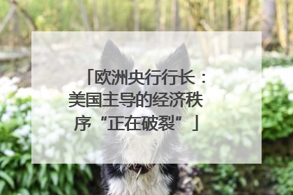 欧洲央行行长：美国主导的经济秩序“正在破裂”