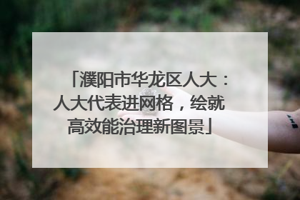 濮阳市华龙区人大：人大代表进网格，绘就高效能治理新图景