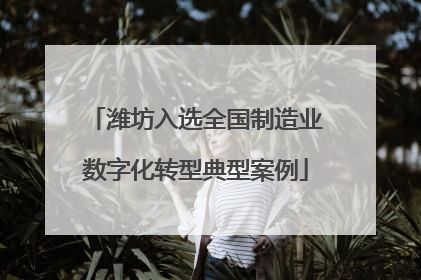 潍坊入选全国制造业数字化转型典型案例