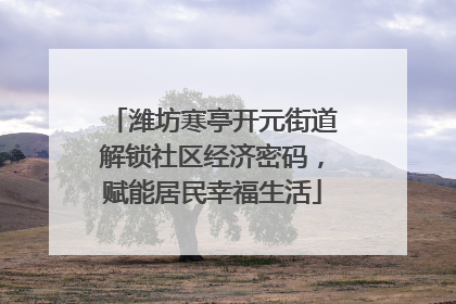 潍坊寒亭开元街道解锁社区经济密码，赋能居民幸福生活