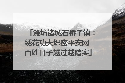 潍坊诸城石桥子镇：绣花功夫织密平安网 百姓日子越过越踏实