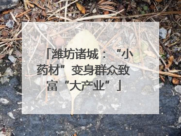 潍坊诸城：“小药材”变身群众致富“大产业”