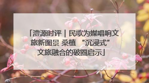 澧源时评｜民歌为媒唱响文旅新图景 桑植 “沉浸式” 文旅融合的破圈启示