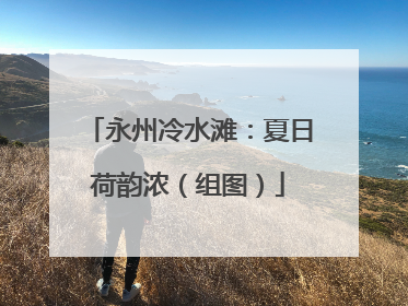 永州冷水滩：夏日荷韵浓（组图）