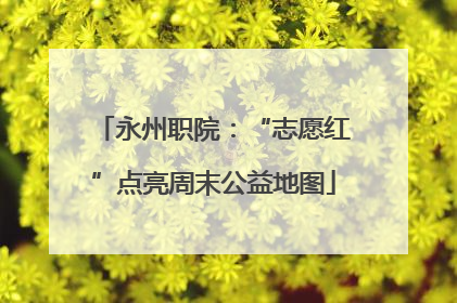 永州职院：“志愿红”点亮周末公益地图