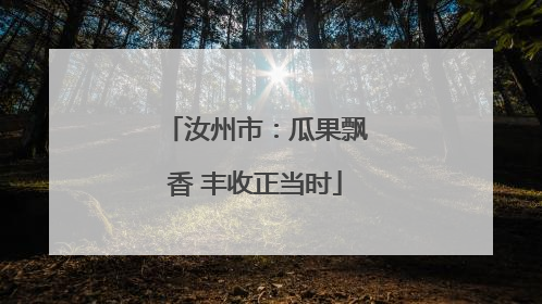 汝州市：瓜果飘香 丰收正当时
