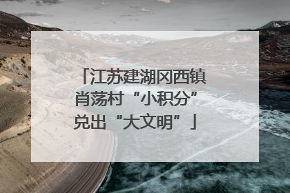 江苏建湖冈西镇肖荡村“小积分”兑出“大文明”