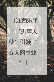 江西乐平：“折翼天使”引领“春天的事业”