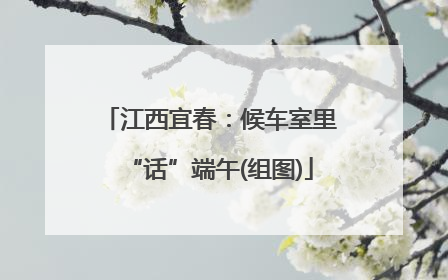 江西宜春：候车室里“话”端午(组图)